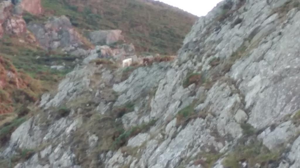 Muiño das Cañotas O Lourido Exterior foto